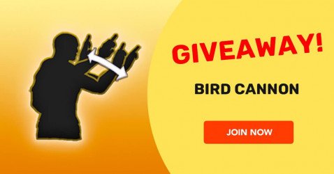 Bird Cannon giveaway